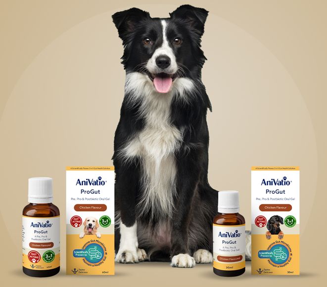 The AniVatio ProGut chicken-flavour range — 30ml and 60ml bottles and cartons either side of a border collie