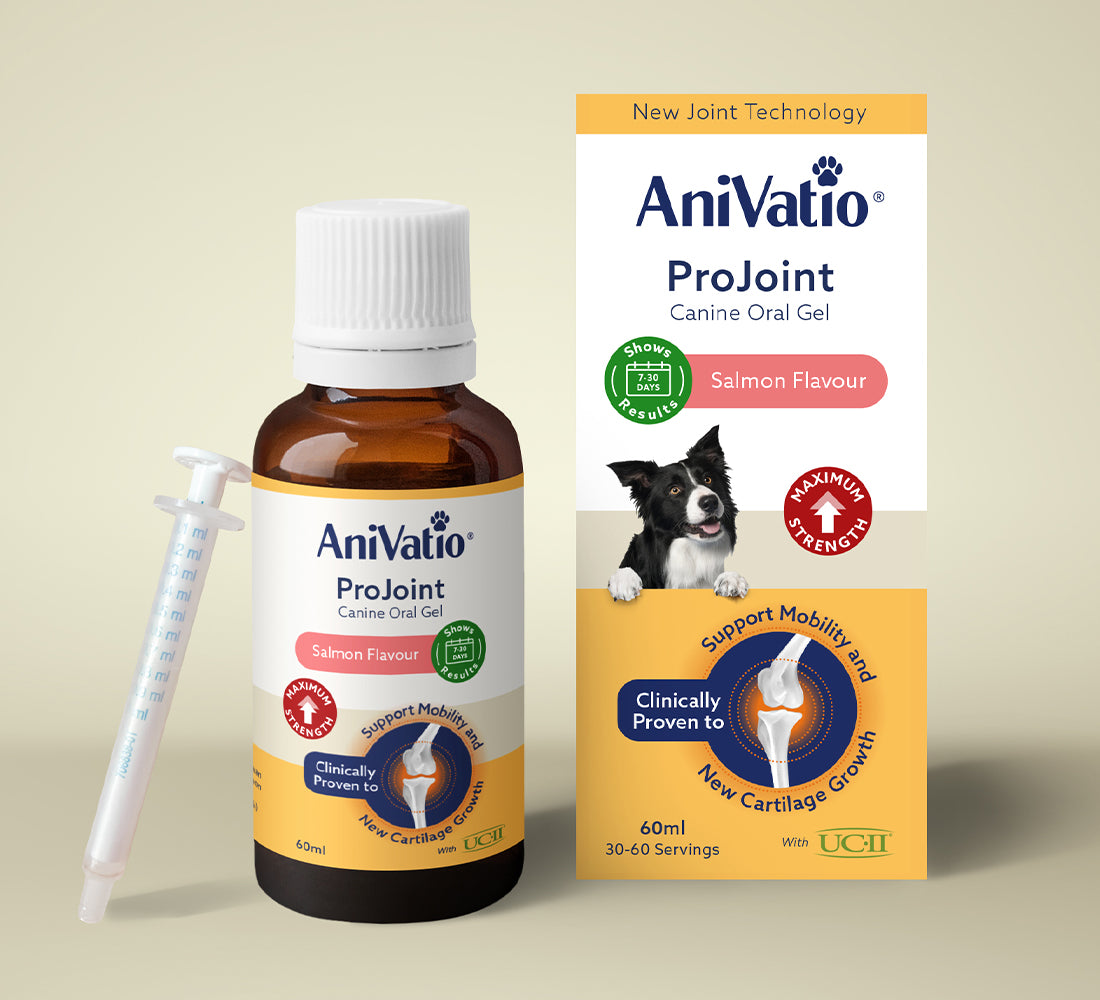 AniVatio ProJoint Canine Oral Gel, 60ml bottle with dosing syringe and carton