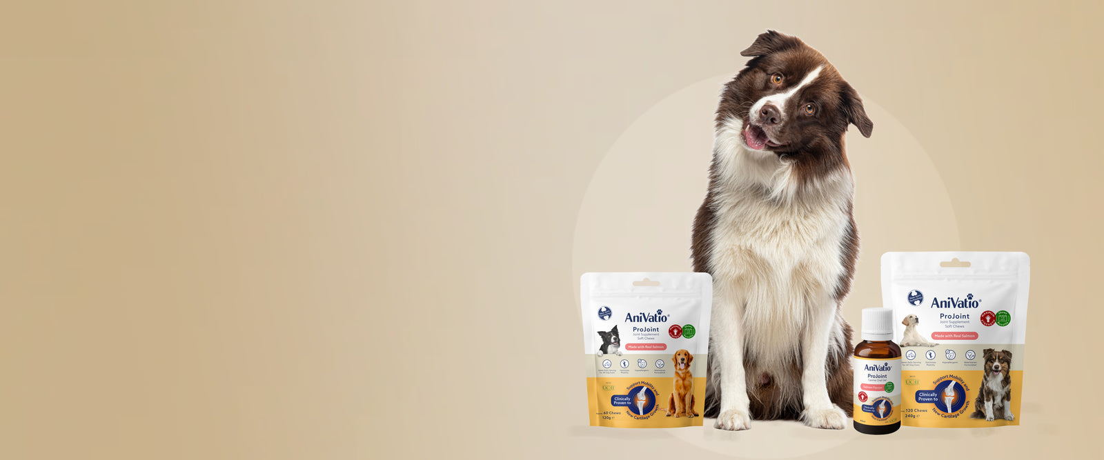 The AniVatio ProJoint range with a border collie, from the brand's storefront